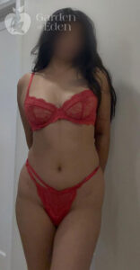 taniya indian brunette gfe toronto escort airport