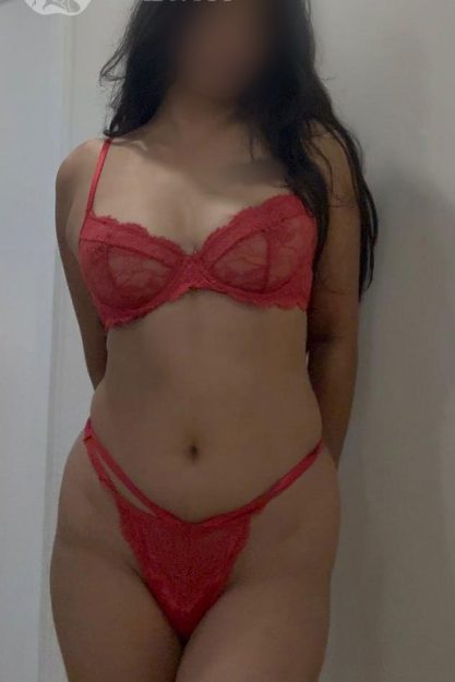 taniya indian brunette gfe toronto escort airport